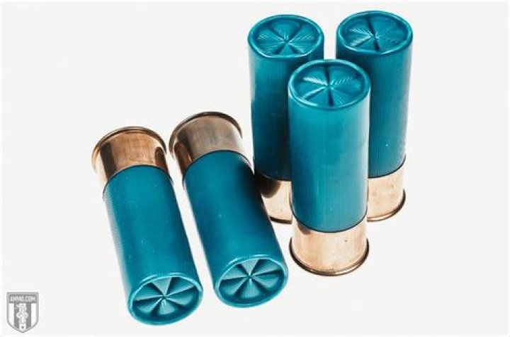 5. Shotgun Shells Fabrication Plan