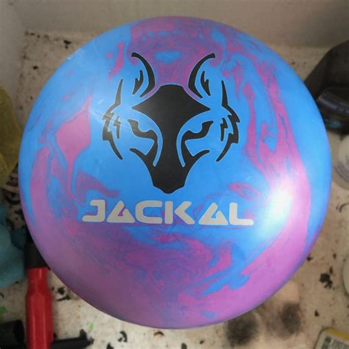 alpha jackal