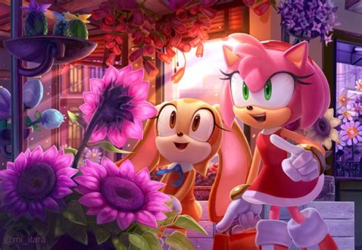 Amy Rose Voice Actor No Longer Part of Sonic The Hedgehog Franchise Amy-Rose