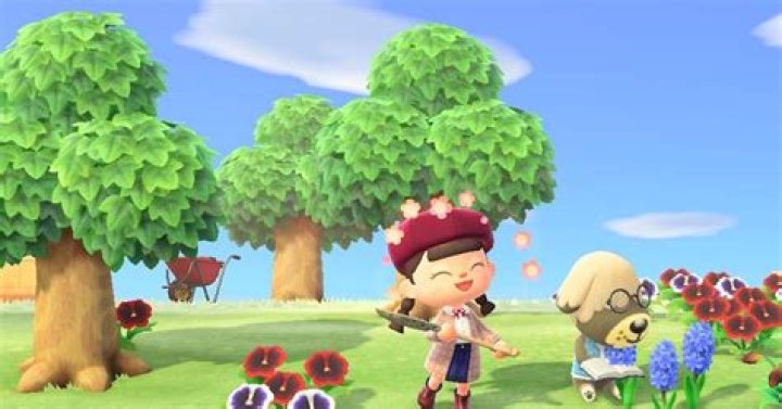 Animal Crossing Nature Day event NM