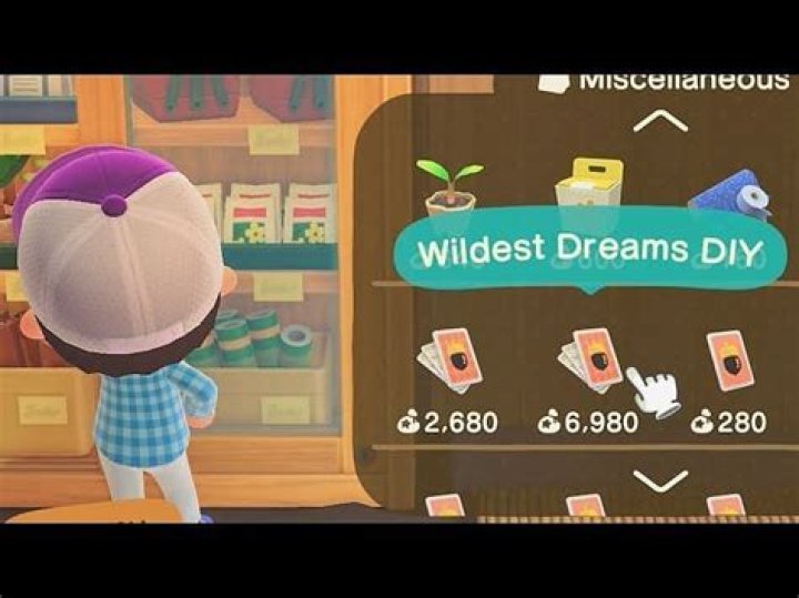 Animal Crossing: New Horizons 'Wildest Dreams DIY' Location and Recipes
