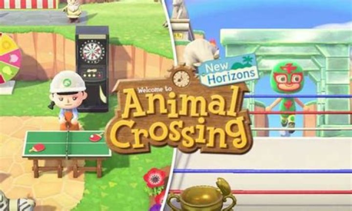 Animal Crossing: New Horizons 'You can't join at this time because the destination locale is full' fix