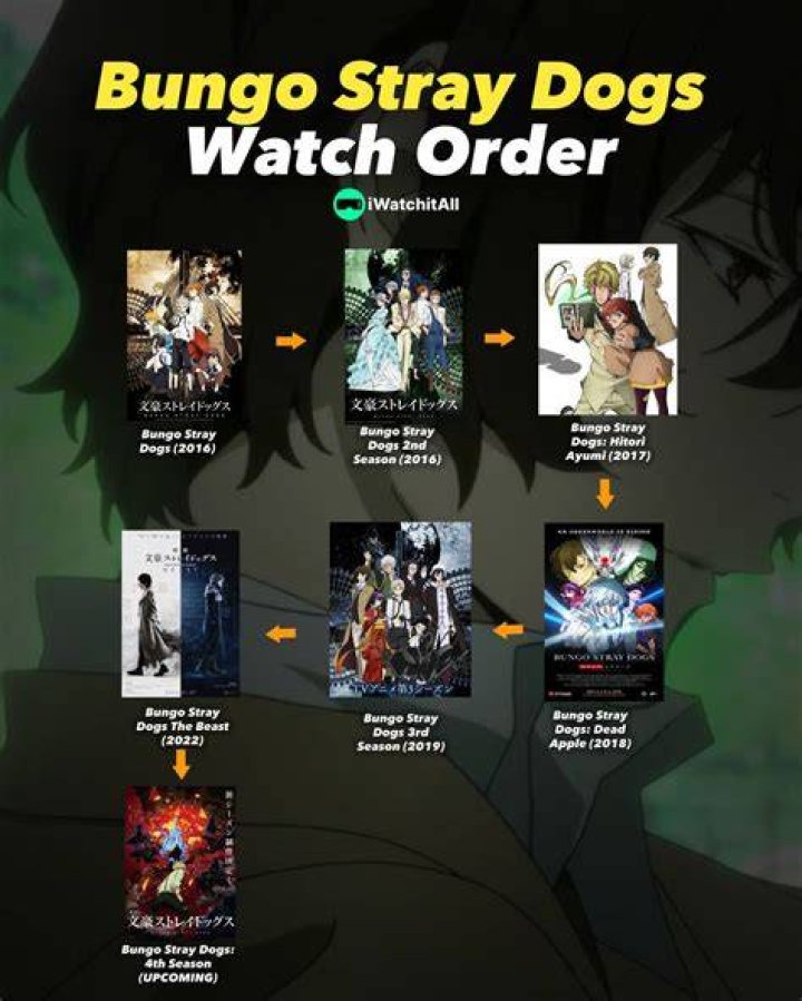 Bungo Stray Dogs Watch Order