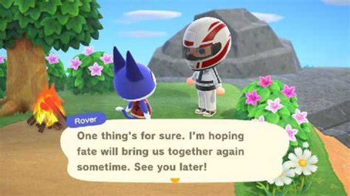 Can Rover be a villager in Animal Crossing: New Horizons?