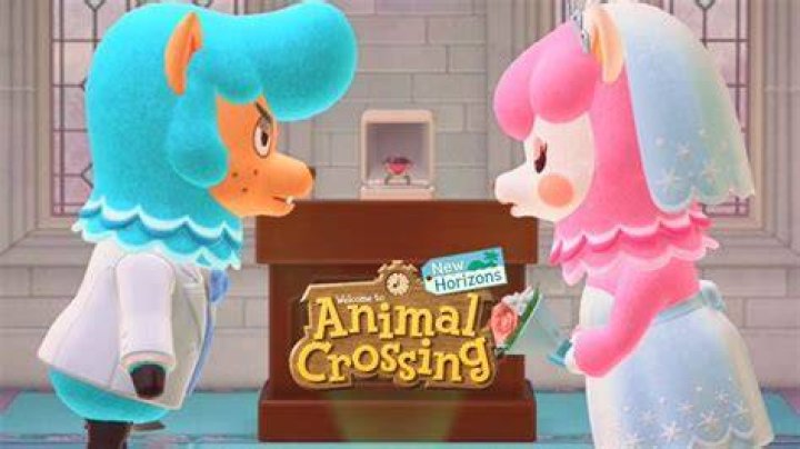 Can you get married in Animal Crossing: New Horizons?