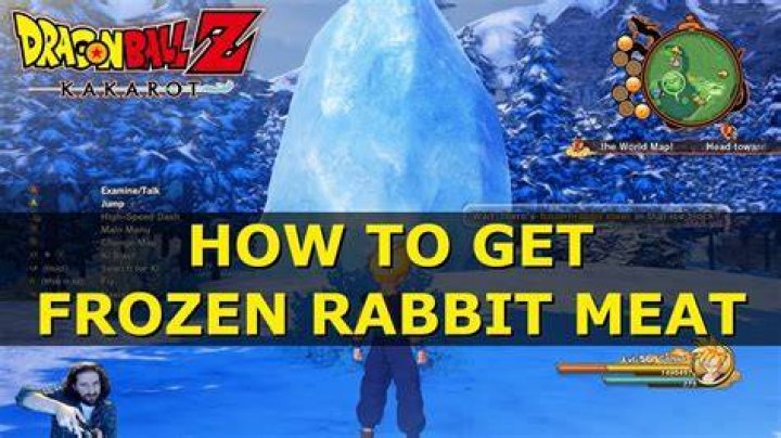 Dragon Ball Z Kakarot Frozen Rabbit Meat location