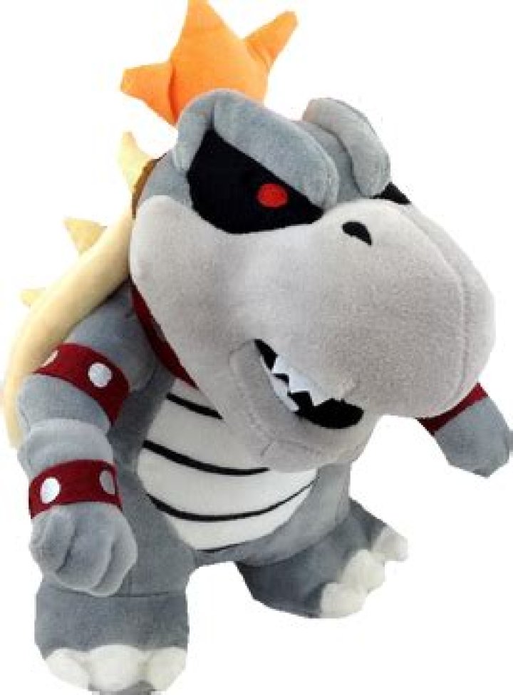 Dry-Bowser-1