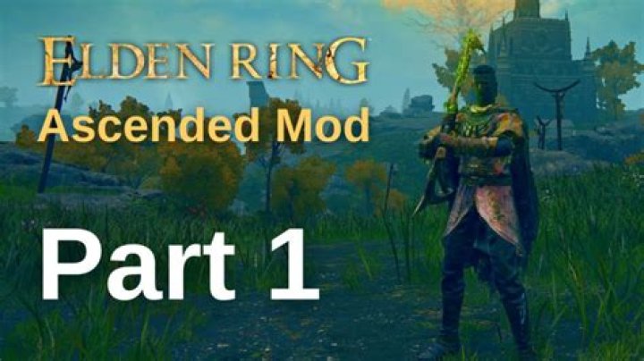 Elden Ring ascended mod console