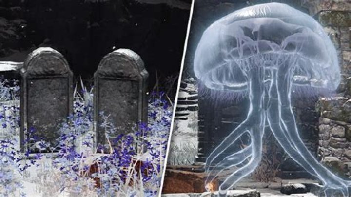 Elden Ring Stargazers' Ruins Sealed Door Puzzle Solution: How to Find the Jellyfish's Sister
