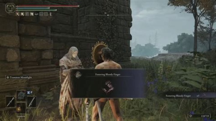 
Elden Ring: What Does the Festering Bloody Finger Do?