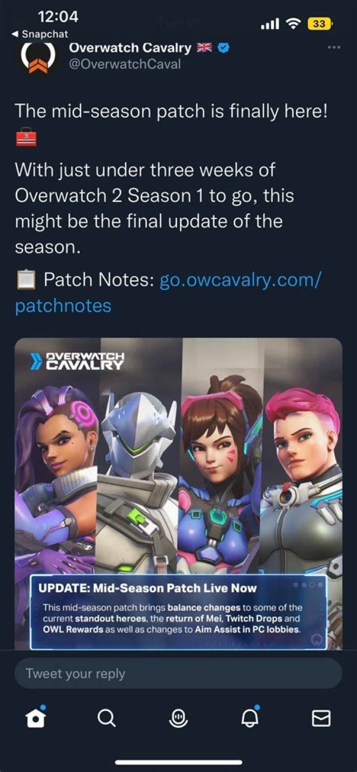 Explosive Overwatch Patch Notes Accidentally Posted In Blizzard Forums, Then Deleted