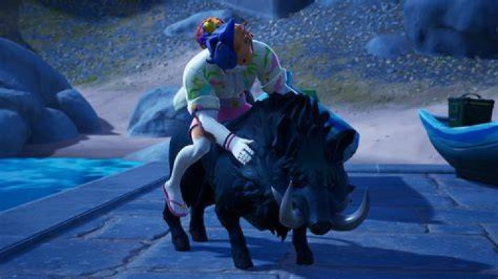 Fortnite Animal Petting