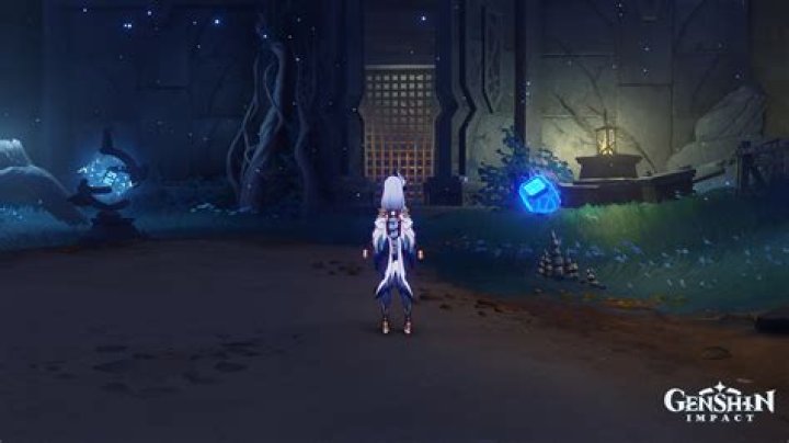 
Genshin Impact Secret Room: Trail of Drake and Serpent Puzzle Solution