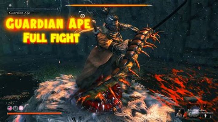 guardian-ape