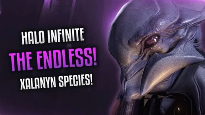 Halo Infinite Endless