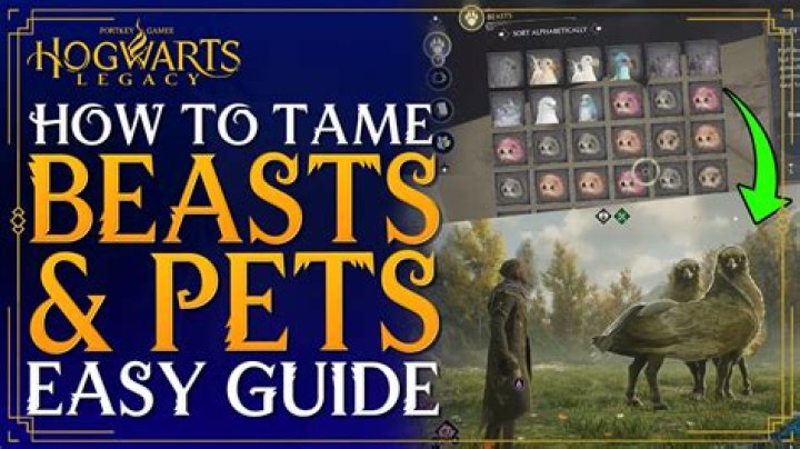 How to Catch Beasts for Your Vivarium in Hogwarts Legacy