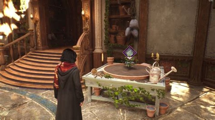 How to Get a Large Pot in Hogwarts Legacy