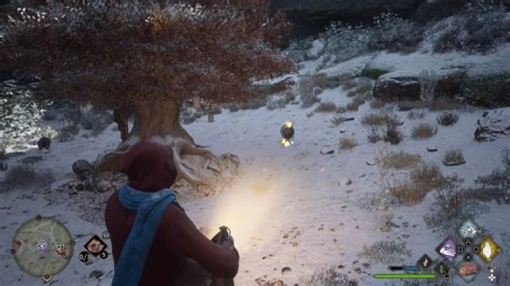 How to Get a Niffler in Hogwarts Legacy