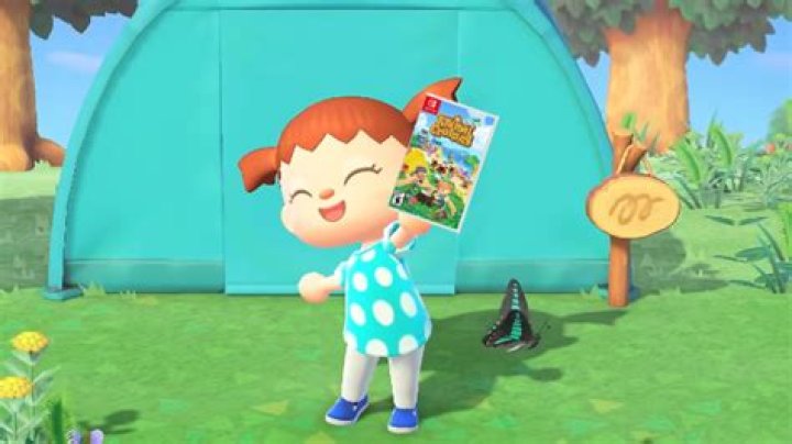 How to get Animal Crossing: New Horizons Simple Panels
