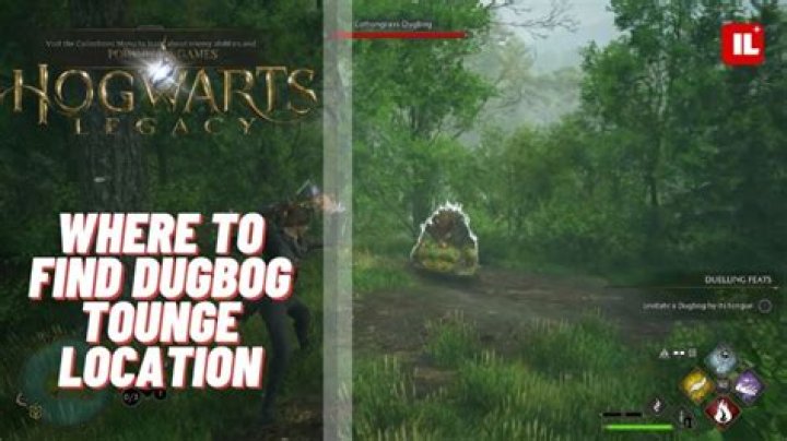 How to Get Dugbog Tongue in Hogwarts Legacy