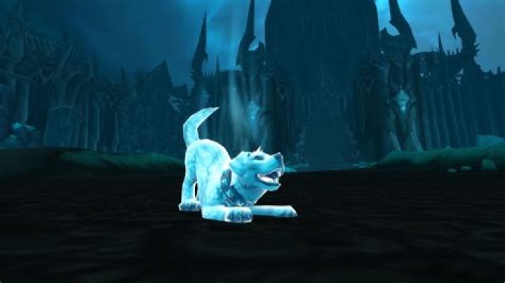 How to Get the Arfus Battle Pet in World of Warcraft: Dragonflight and WoTLK Classic