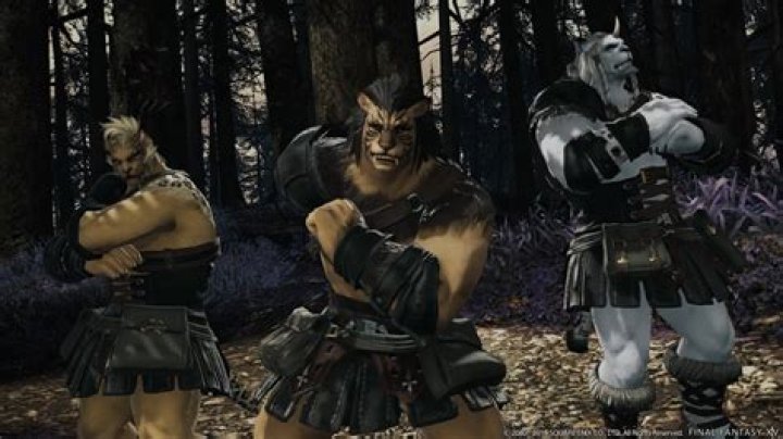
How to Unlock Viera and Hrothgar Races in Final Fantasy XIV Online