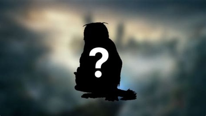 In Hogwarts Legacy, The Hidebehind Was Accidentally Created by Cross-Breeding a Ghoul with What Other Magical Creature?