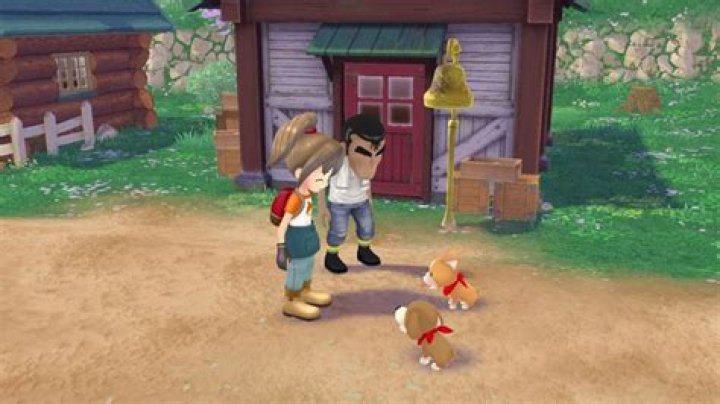 Is There a Harvest Moon: A Wonderful Life Remake Switch Release Date?