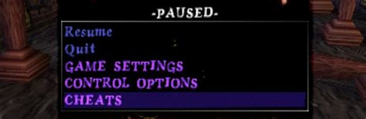 MediEvil PS Cheats - GameRevolution