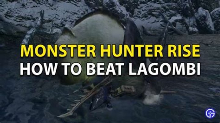 
Monster Hunter Rise: How to Beat Lagombi