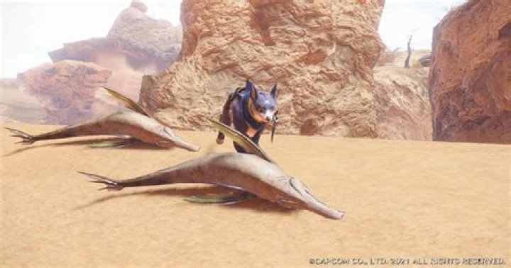 Monster Hunter Rise: How to get Quality Fin and Big Fin