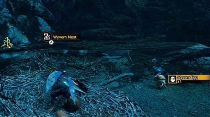 
Monster Hunter Rise: How to Get Quality Wyvern Egg