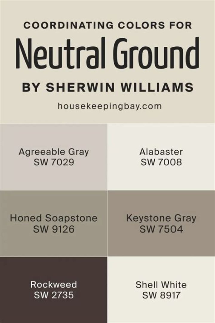 Neutral Ground (0) - Teenage Mutant Ninja Turtles