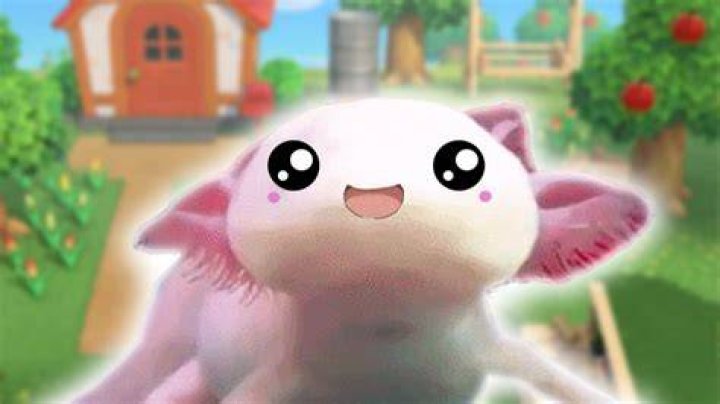 Nintendo, please give Animal Crossing: New Horizons an axolotl villager