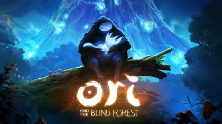 
Ori and the Blind Forest Already Profitable, Dev Working on New Projects