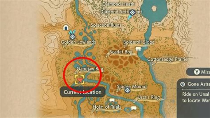 Pokemon Legends Arceus Gone Astray in the Mirelands: How to find the sister with Ursaluna