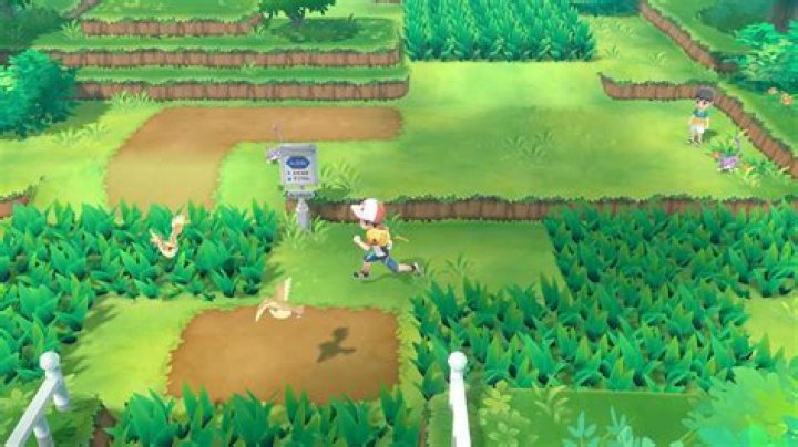 Pokemon Let's Go Fly Higher - How to Do It and What Pokemon to Use
