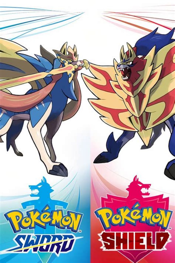 Pokemon Sword and Shield Assault Vest