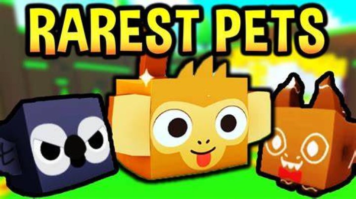Rarest Pets in Pet Simulator X (June 2024)