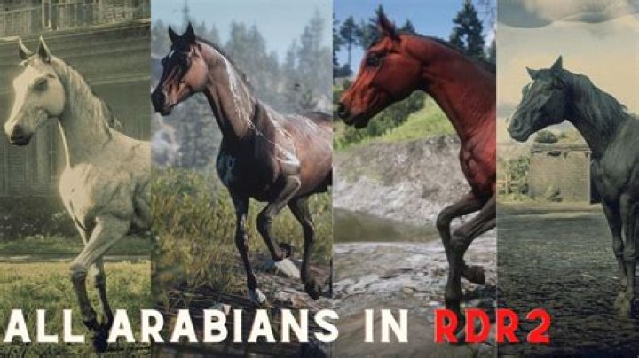 red dead redemption 2 arabian horse breed