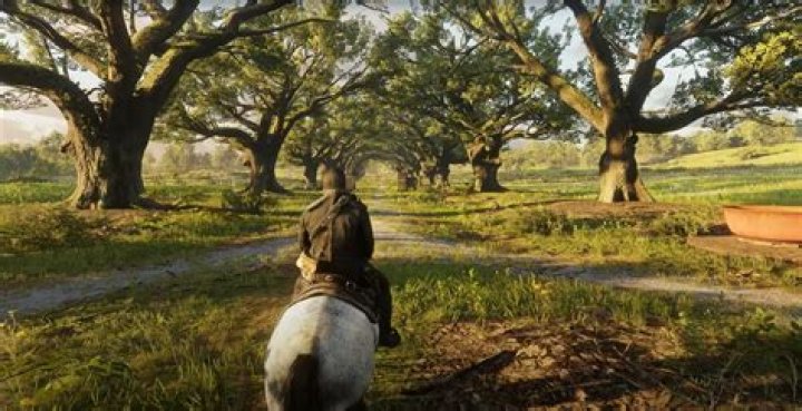 Red Dead Redemption 2 Grow Long Beard