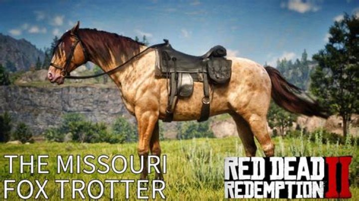 red dead redemption 2 missouri fox trotter horse breed