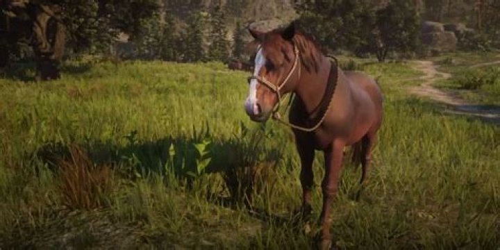 red dead redemption 2 suffolk punch horse breed