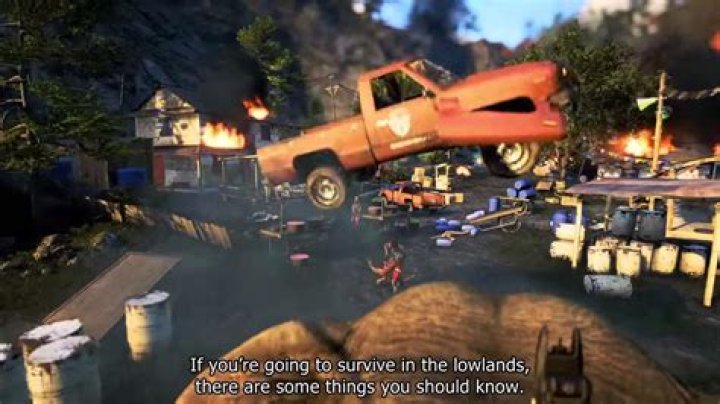 
Riding Elephants and Feeding Bears: Far Cry 4