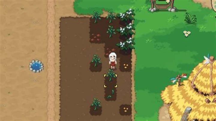 Roots of Pacha Seeds Guide: How to Grow Every Seed