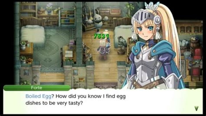 Rune Factory 4 Relationship Give Gifts