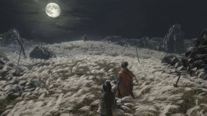 Sekiro: Shadows Die Twice and the Best of the Soulslikes