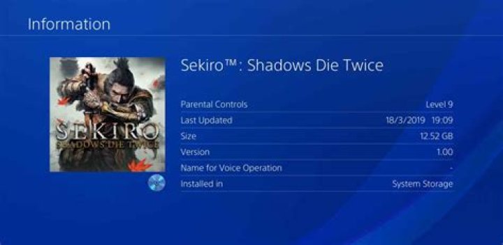 Sekiro Shadows Die Twice File Size