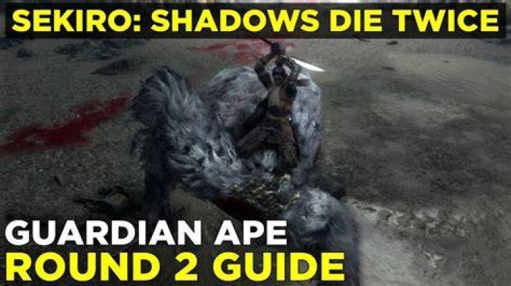 
Sekiro: Shadows Die Twice How to Beat Guardian Ape