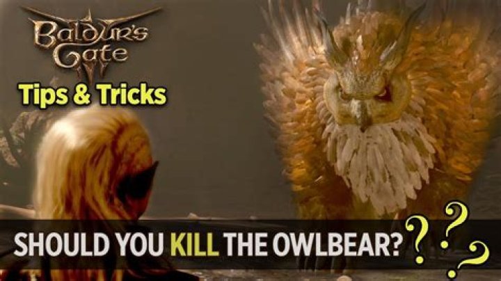Should You Kill the Owlbear in Baldur's Gate 3?